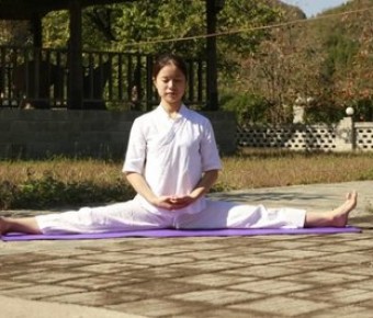 零基础开始学瑜伽：伸展全身的瑜伽全套体式